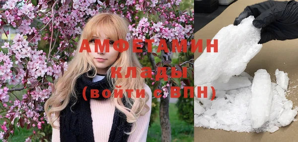 твердый Аркадак