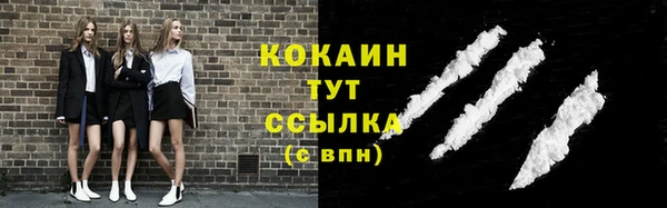 сатива Арсеньев
