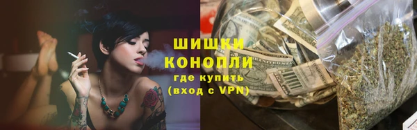 крисы Осинники