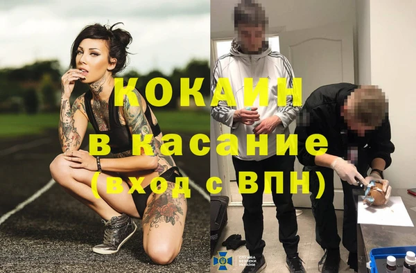 твердый Аркадак