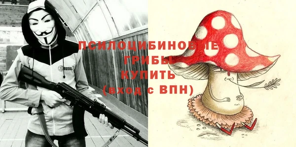 Альфа ПВП Армянск