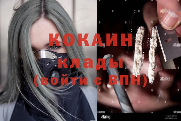 твердый Аркадак