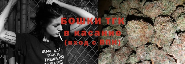твердый Аркадак