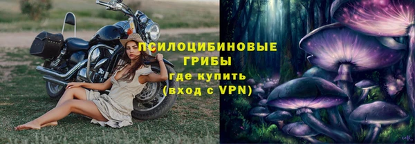 сатива Арсеньев