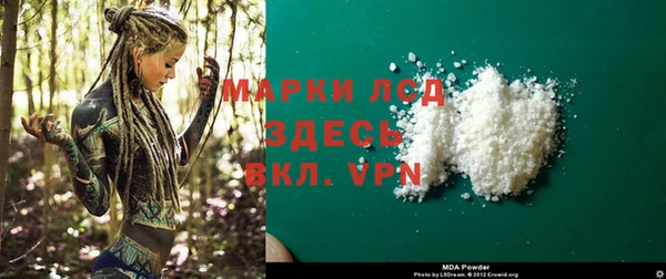 сатива Арсеньев
