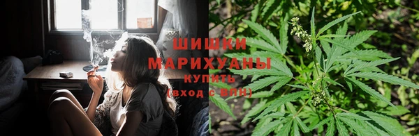 сатива Арсеньев
